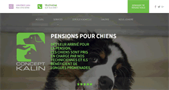 Desktop Screenshot of conceptkalin.com